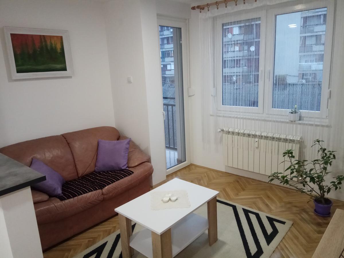 Apartman Ana Subotica Buitenkant foto