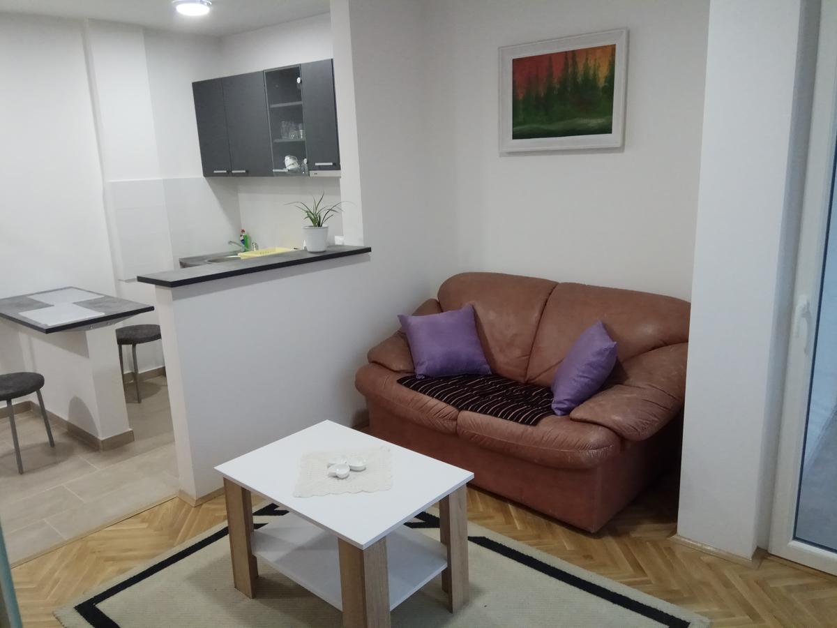 Apartman Ana Subotica Buitenkant foto